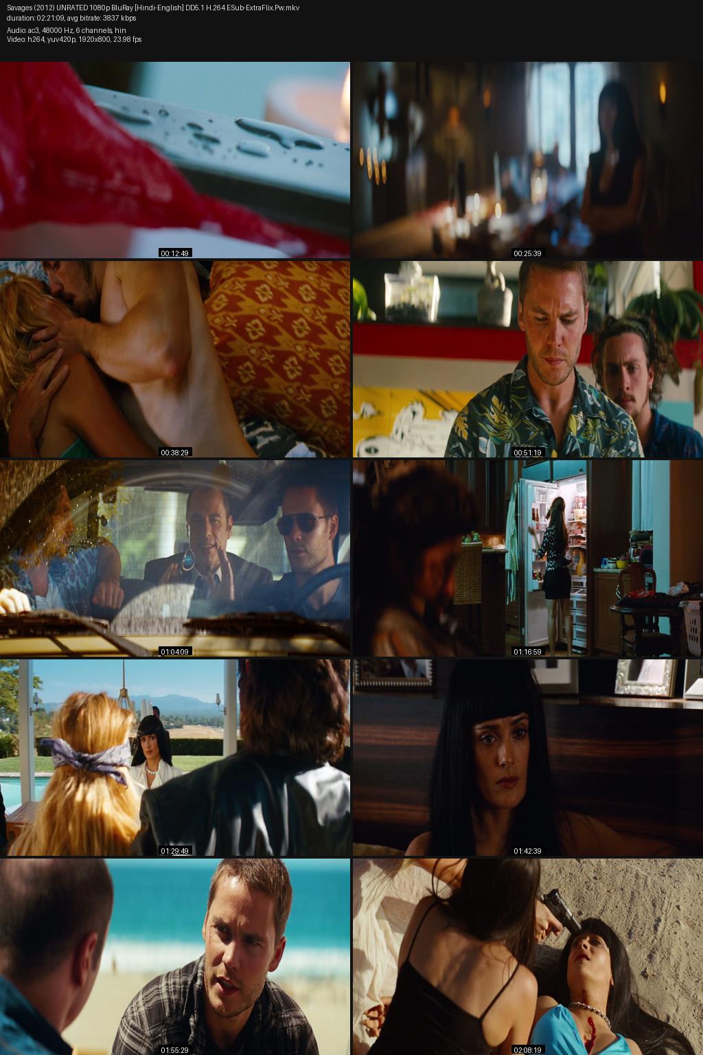 Savages (2012) [Hindi-English] 1080p 720p 480p BluRay ESub Screenshots