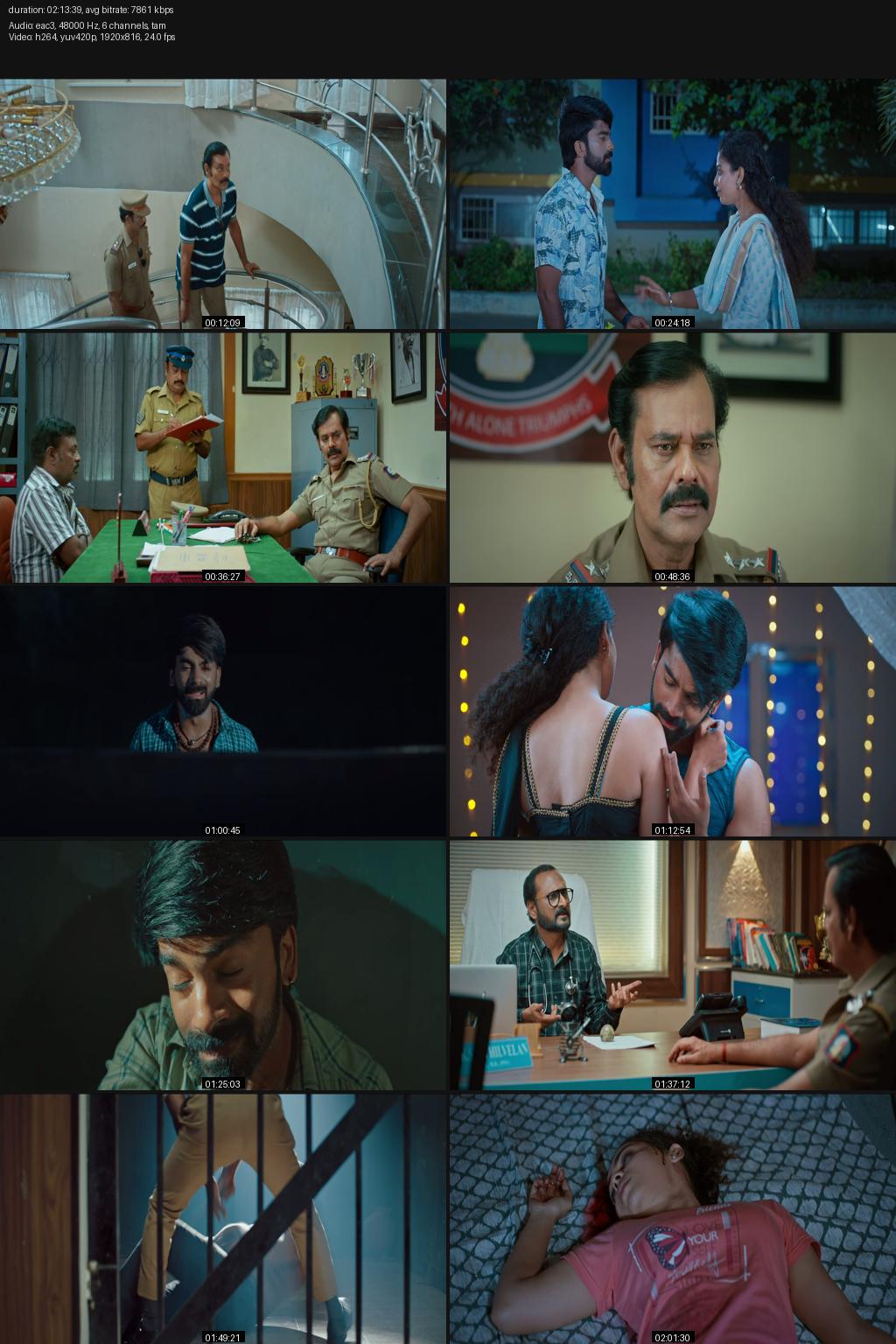 See Saw (2025) [Hindi-Tamil] 1080p 720p 480p Amazon WEB-DL ESub Screenshots
