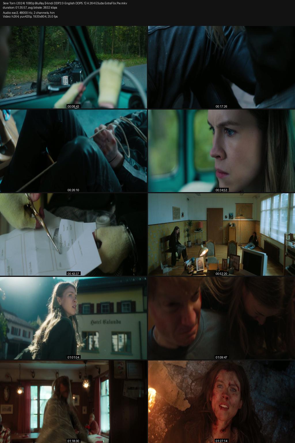 Sew Torn (2024) [Hindi-English] 1080p 720p 480p BluRay ESub Screenshots