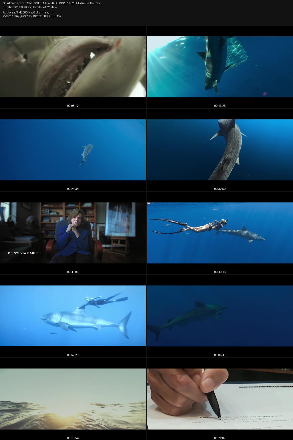 Shark Whisperer (2025) 1080p | 720p | 480p Netflix WEB-DL [Hindi-English] ESubs Screenshots
