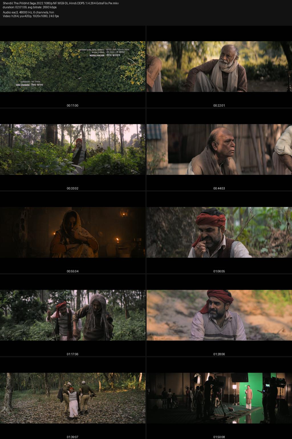 Sherdil: The Pilibhit Saga (2022) [Hindi] 4K 2160p 1080p 720p 540p Netflix WEB-DL ESub Screenshots