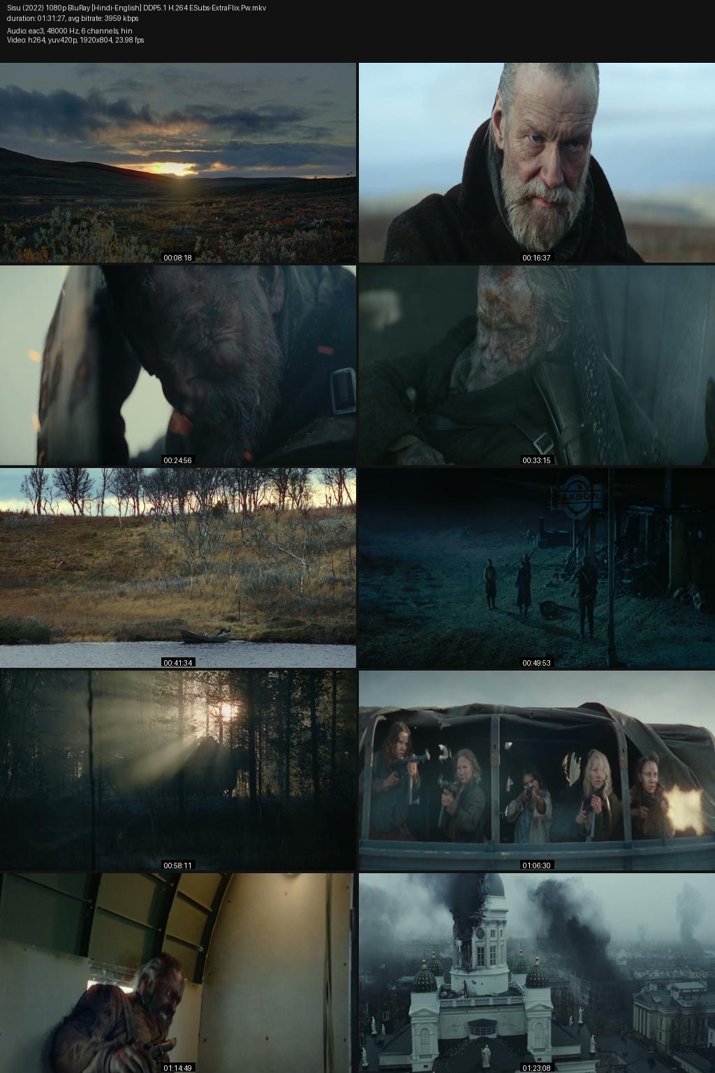Sisu (2022) [Hindi-English] 1080p 720p 480p BluRay ESubs Screenshots