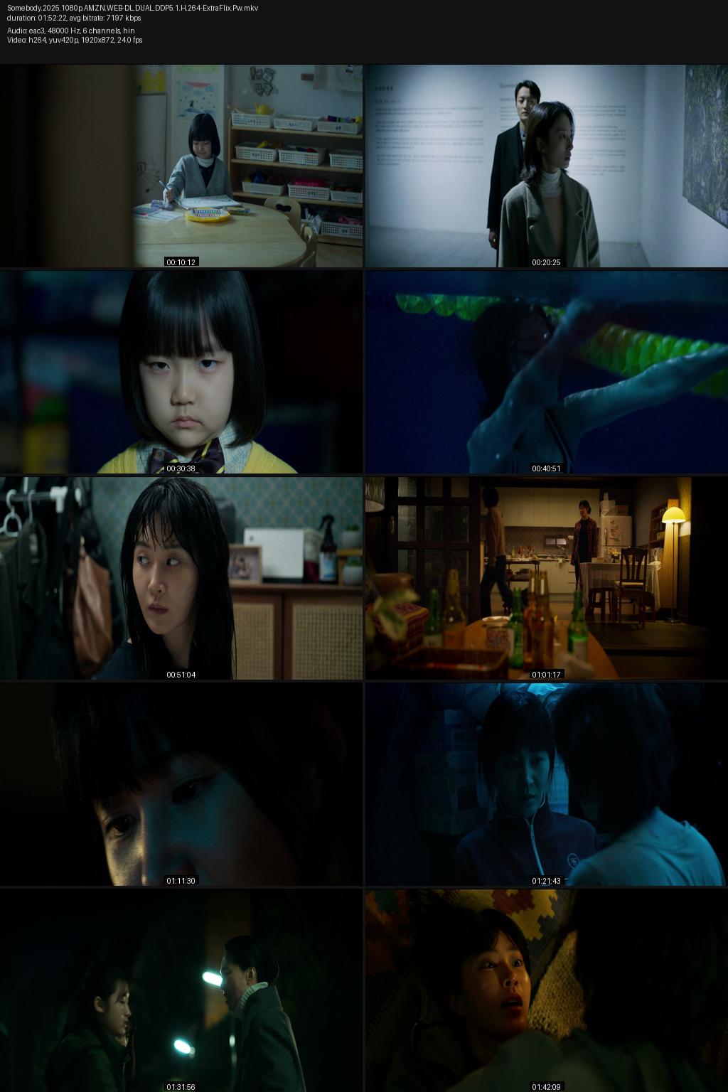Somebody (2025) [Hindi-Korean] 1080p 720p 480p Amazon WEB-DL ESub Screenshots