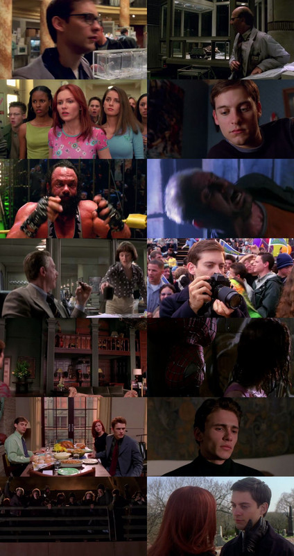 Spider-Man (2002) 1080p | 720p | 480p BluRay [Hindi (हिन्दी) + English] DD5.1 ESub Screenshots