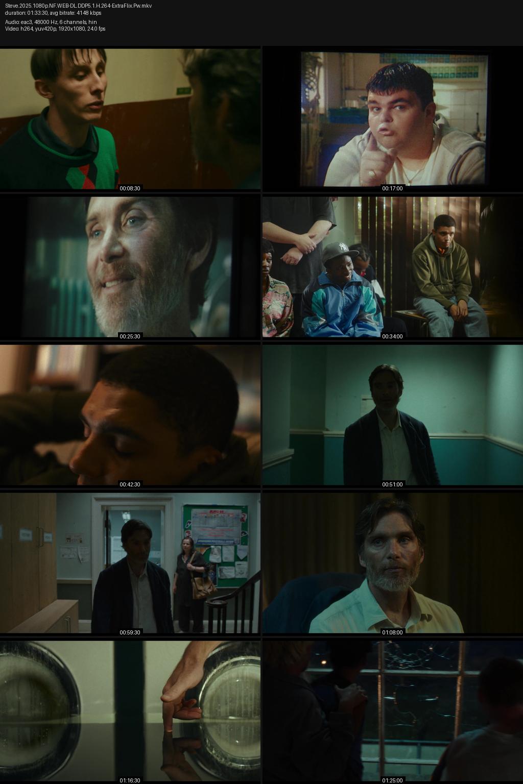 Steve (2025) [Hindi-English] 1080p 720p 480p Netflix WEB-DL ESubs Screenshots