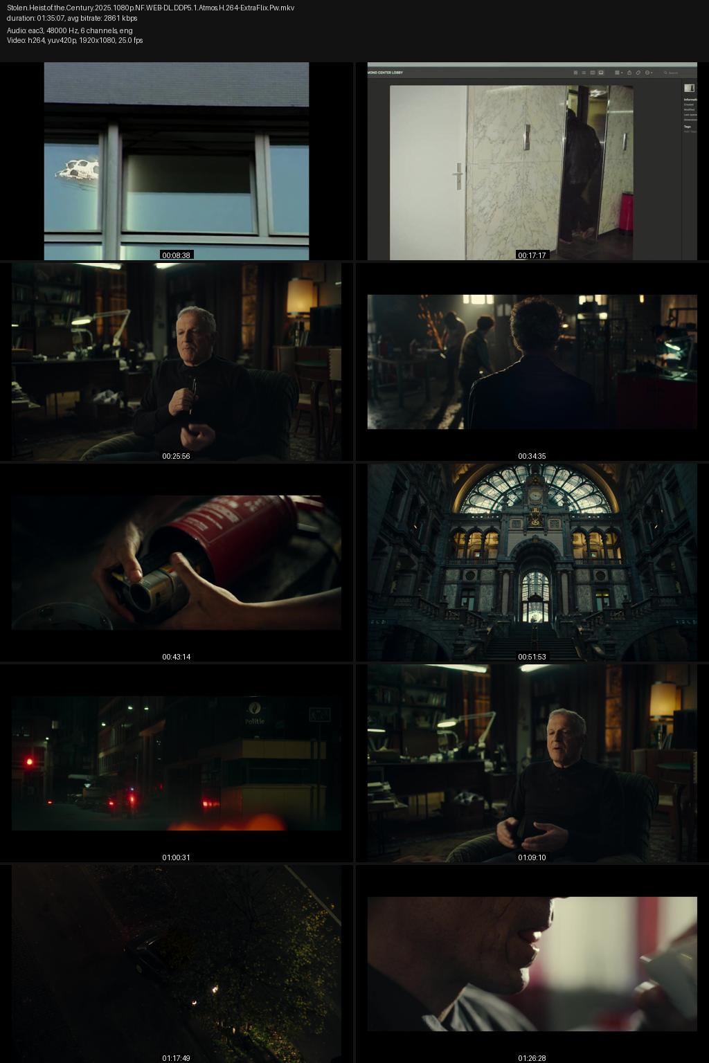 Stolen: Heist of the Century (2025) [Hindi-English] 1080p 720p 480p Netflix WEB-DL ESubs Screenshots