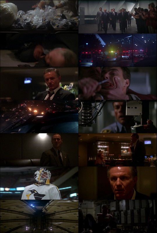Sudden Death (1995) 1080p | 720p | 480p BluRay [Hindi (हिन्दी) + English] DD5.1 ESub Screenshots
