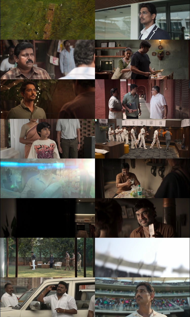 Test (2025) 1080p | 720p | 480p WEB-HDRip [Hindi (हिन्दी) + Tamil] DD5.1 ESub Screenshots