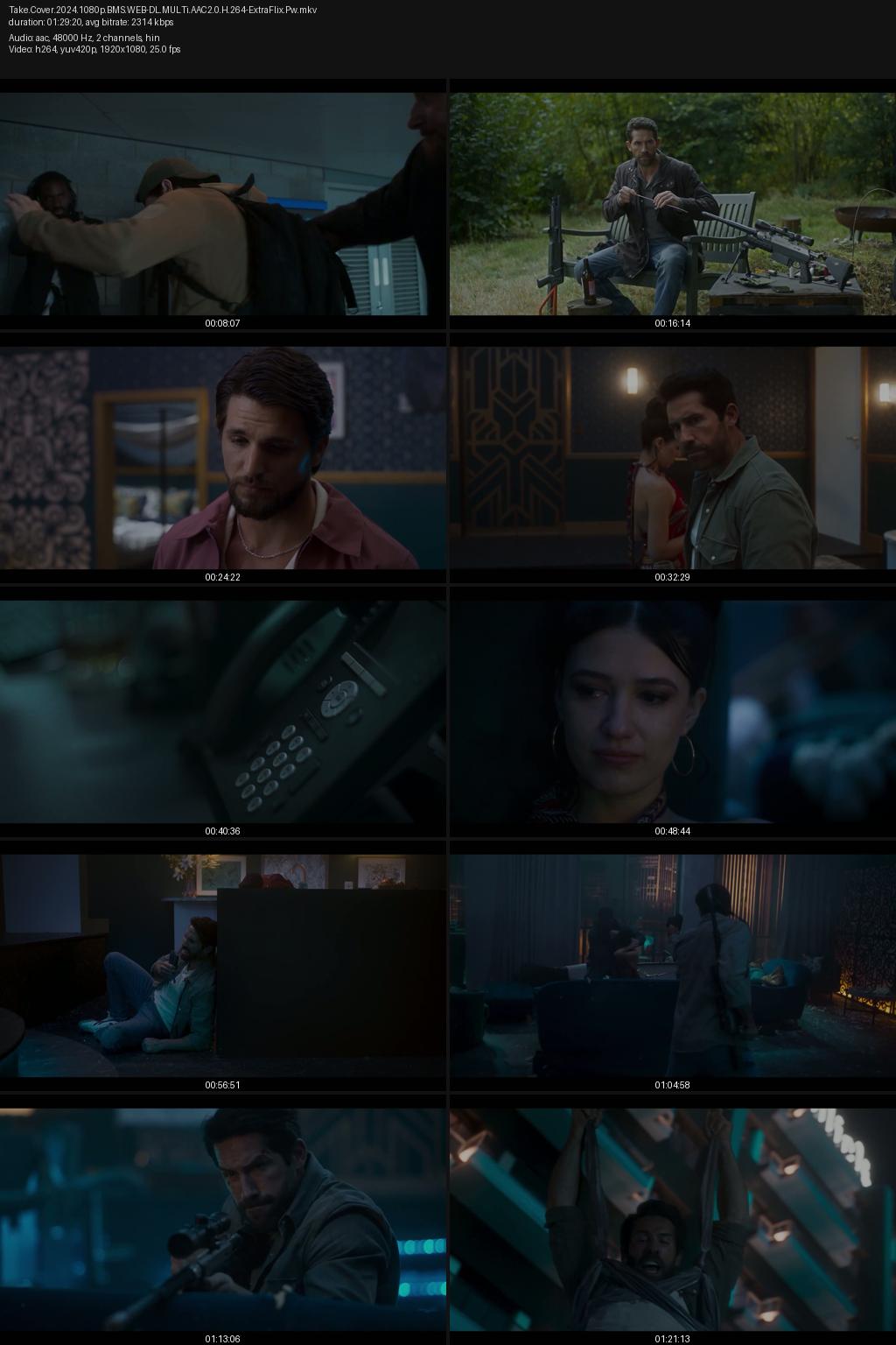 Take Cover (2024) 1080p | 720p | 540p BookMyShow WEB-DL [Hindi-English] ESub Screenshots
