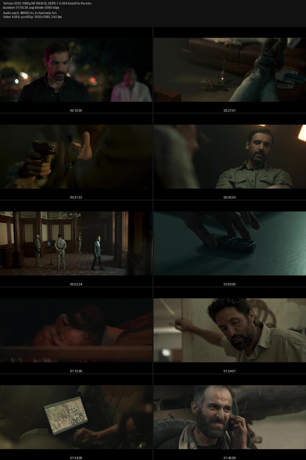 Tehran (2025) Hindi 4K 2160p 1080p 720p 480p Netflix WEB-DL ESub Screenshots
