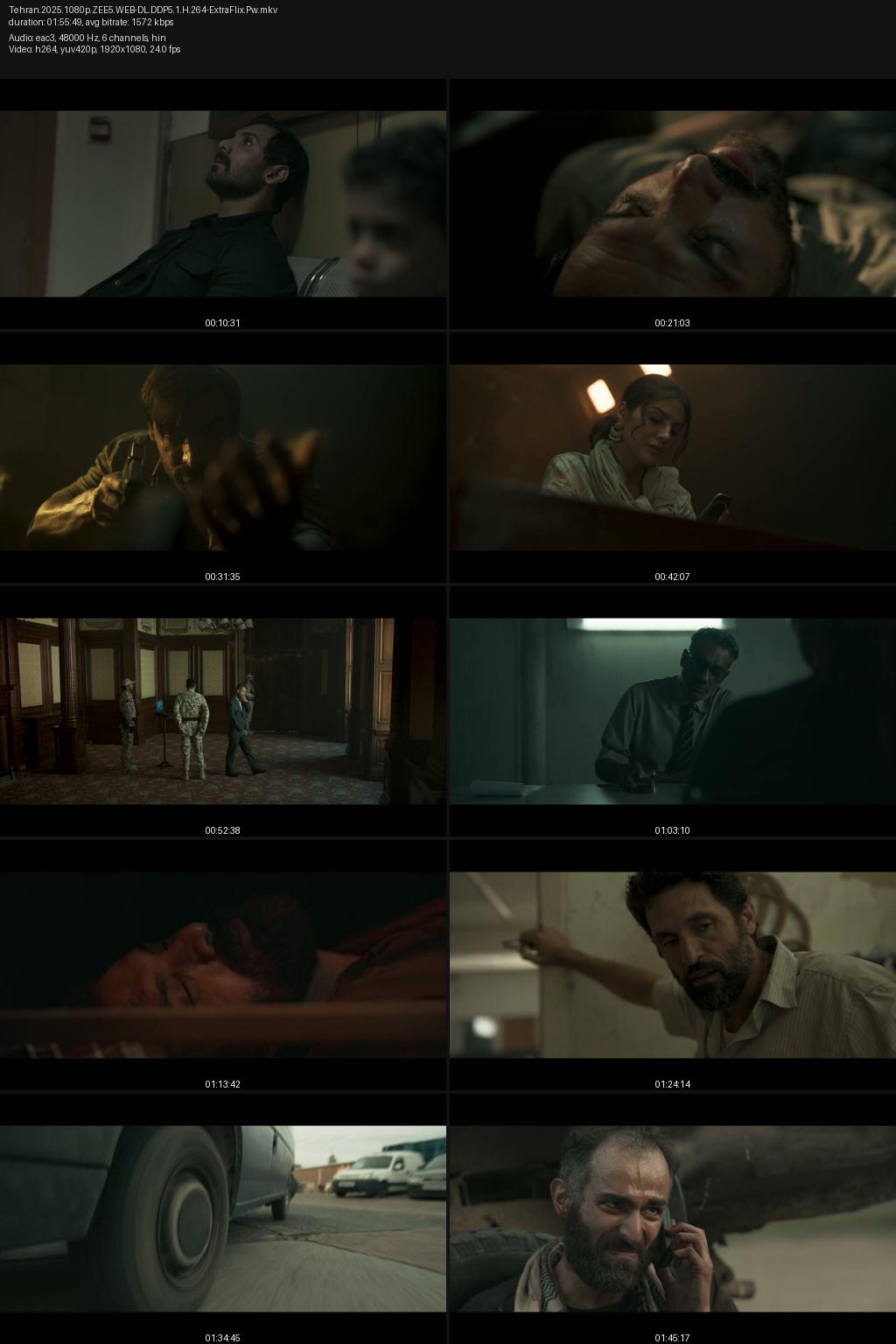 Tehran (2025) Hindi 4K 2160p 1080p 720p 480p ZEE5 WEB-DL ESub Screenshots