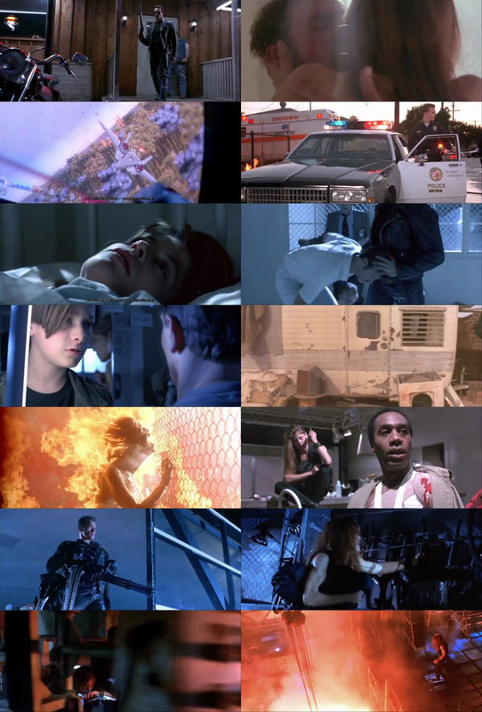 Terminator 2: Judgment Day (1991) 1080p | 720p | 480p BluRay [Hindi (हिन्दी) + English] DD5.1 ESub Screenshots