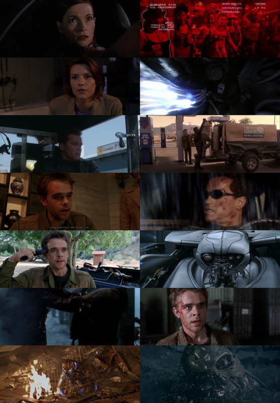 Terminator 3: Rise of the Machines (2003) 1080p | 720p | 480p BluRay [Hindi (हिन्दी) + English] DD5.1 ESub Screenshots