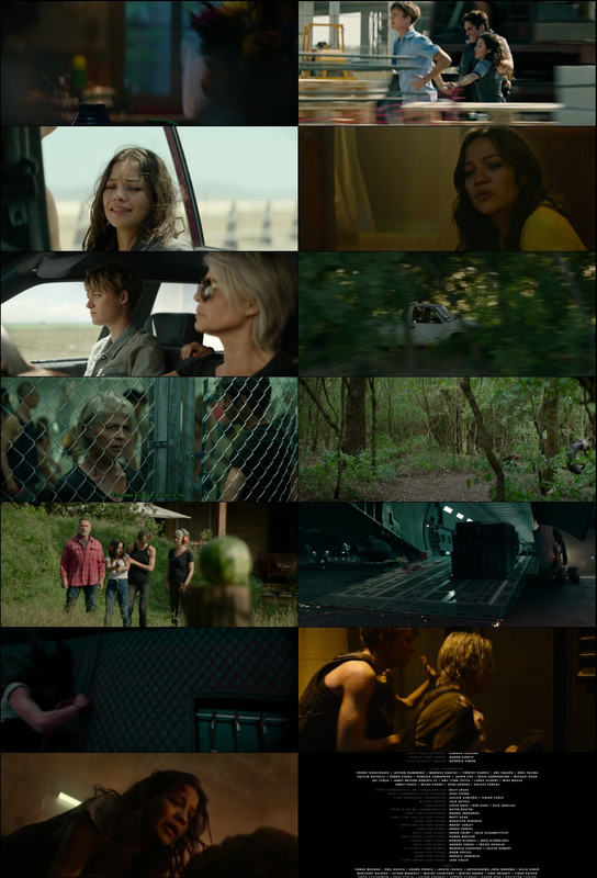 Terminator: Dark Fate (2019) 1080p | 720p | 480p BluRay [Hindi (हिन्दी) + English] DD5.1 ESub Screenshots
