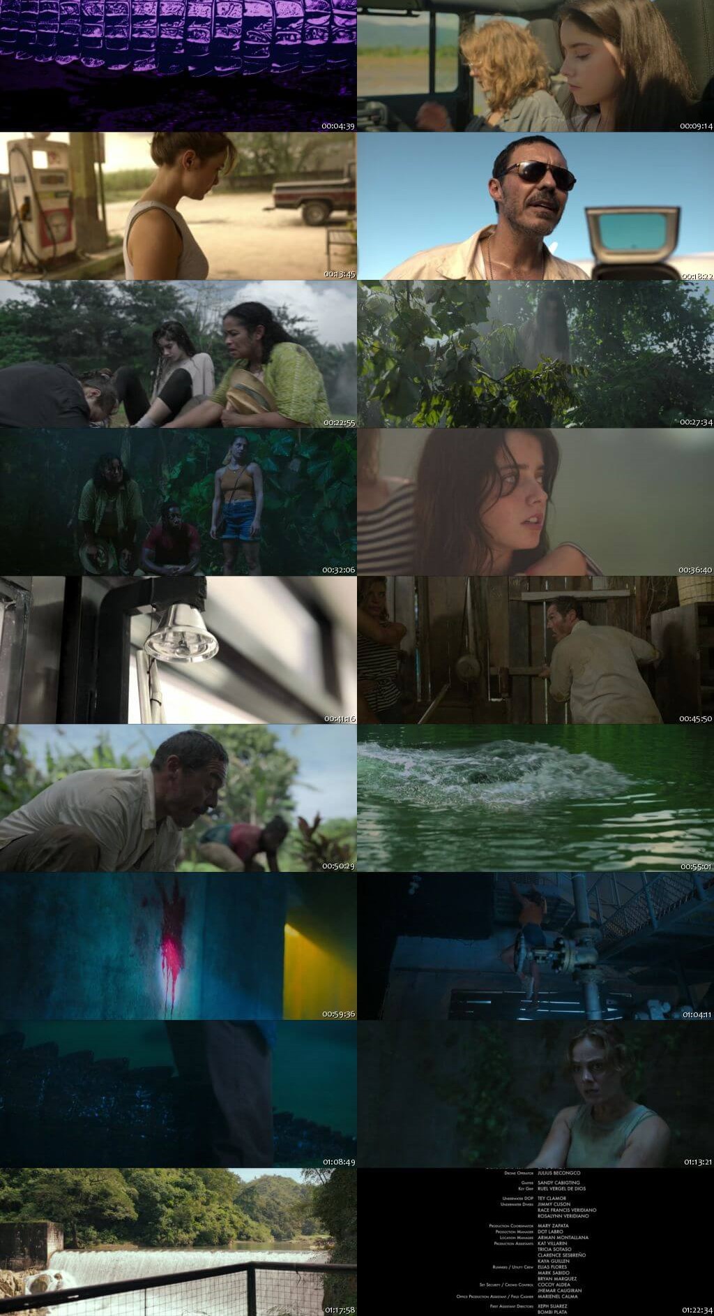 The Bayou (2025) 1080p | 720p | 480p WEB-HDRip [Hindi (हिन्दी) English] DD2.0 ESubs Screenshots
