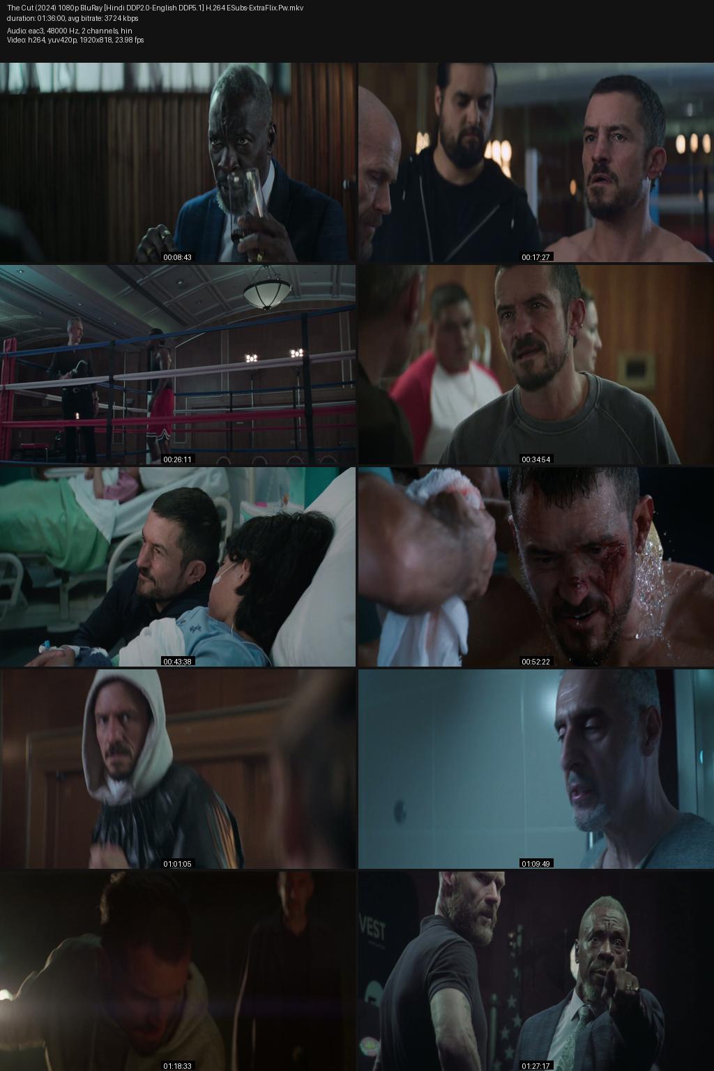 The Cut (2025) [Hindi-English] 4K 2160p 1080p 720p 480p BluRay ESubs Screenshots