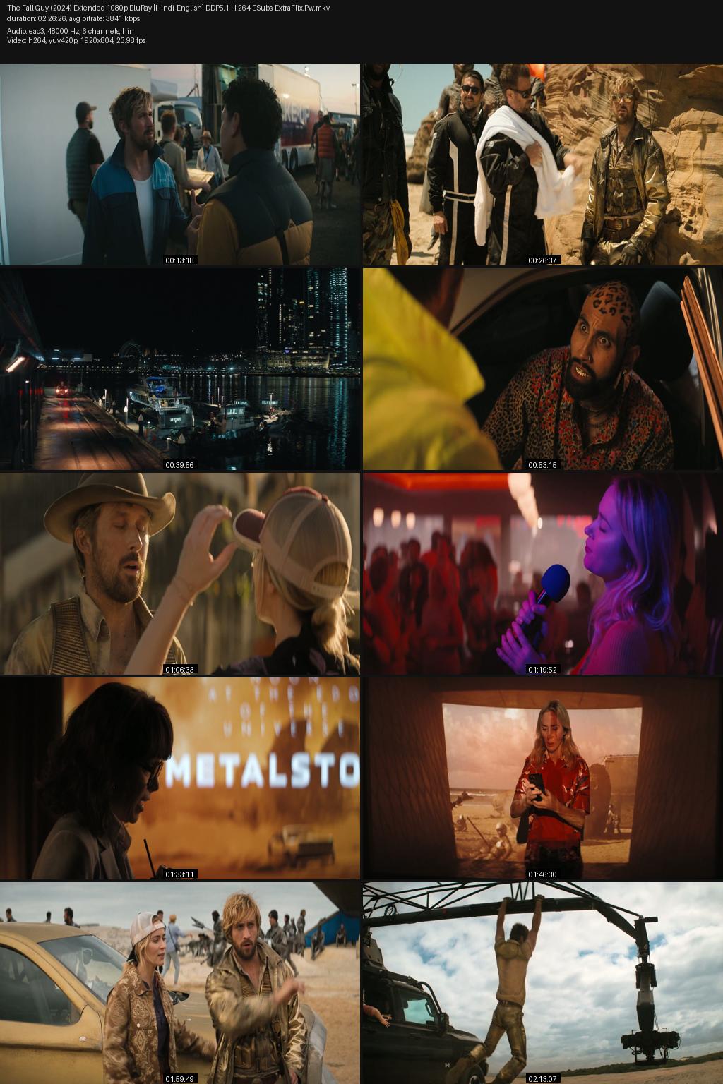 The Fall Guy (2024) Extended Cut [Hindi-English] 1080p 720p 480p BluRay ESubs Screenshots
