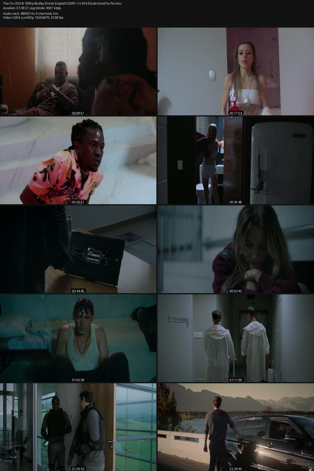 The Fix (2024) [Hindi-English] 1080p 720p 480p BluRay ESubs Screenshots