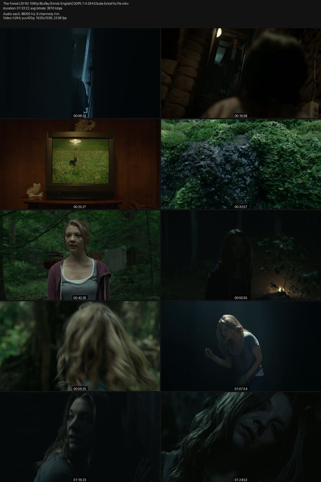 The Forest (2016) [Hindi-English] 1080p 720p 480p BluRay ESubs Screenshots