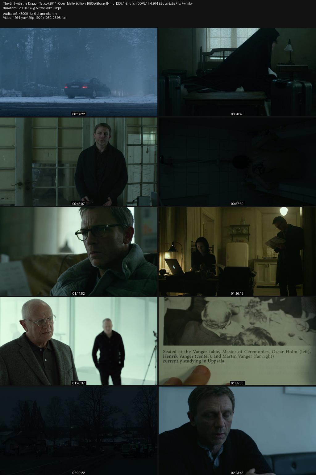 The Girl with the Dragon Tattoo (2011) [Hindi-English] 1080p 720p 480p BluRay ESubs Screenshots