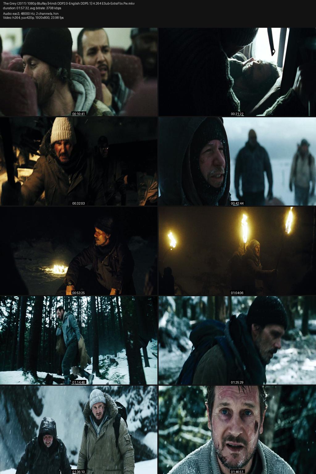 The Grey (2011) [Hindi-English] 1080p 720p 480p BluRay ESub Screenshots
