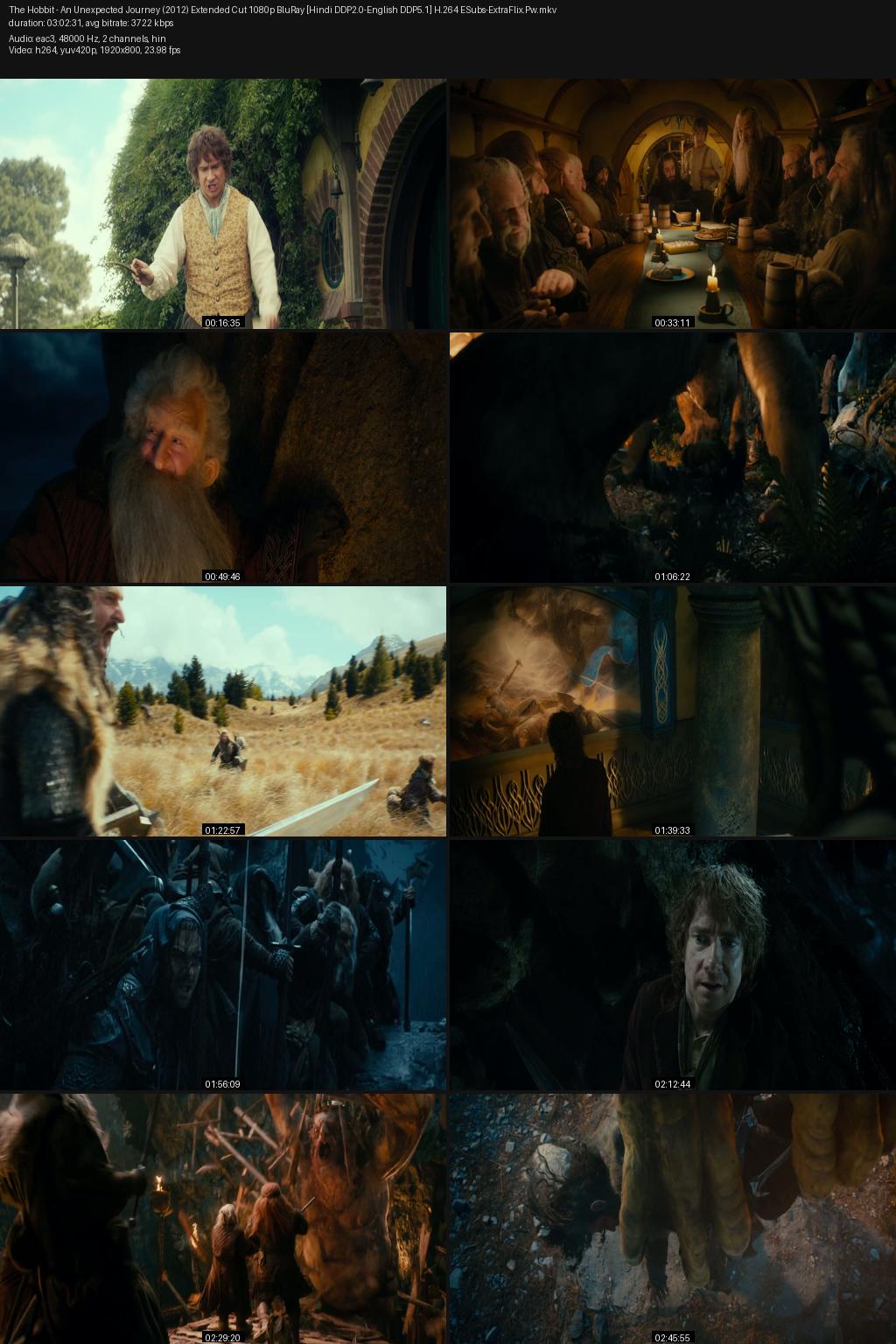 The Hobbit: An Unexpected Journey (2012) [Hindi-English] 1080p 720p 480p BluRay ESubs Screenshots