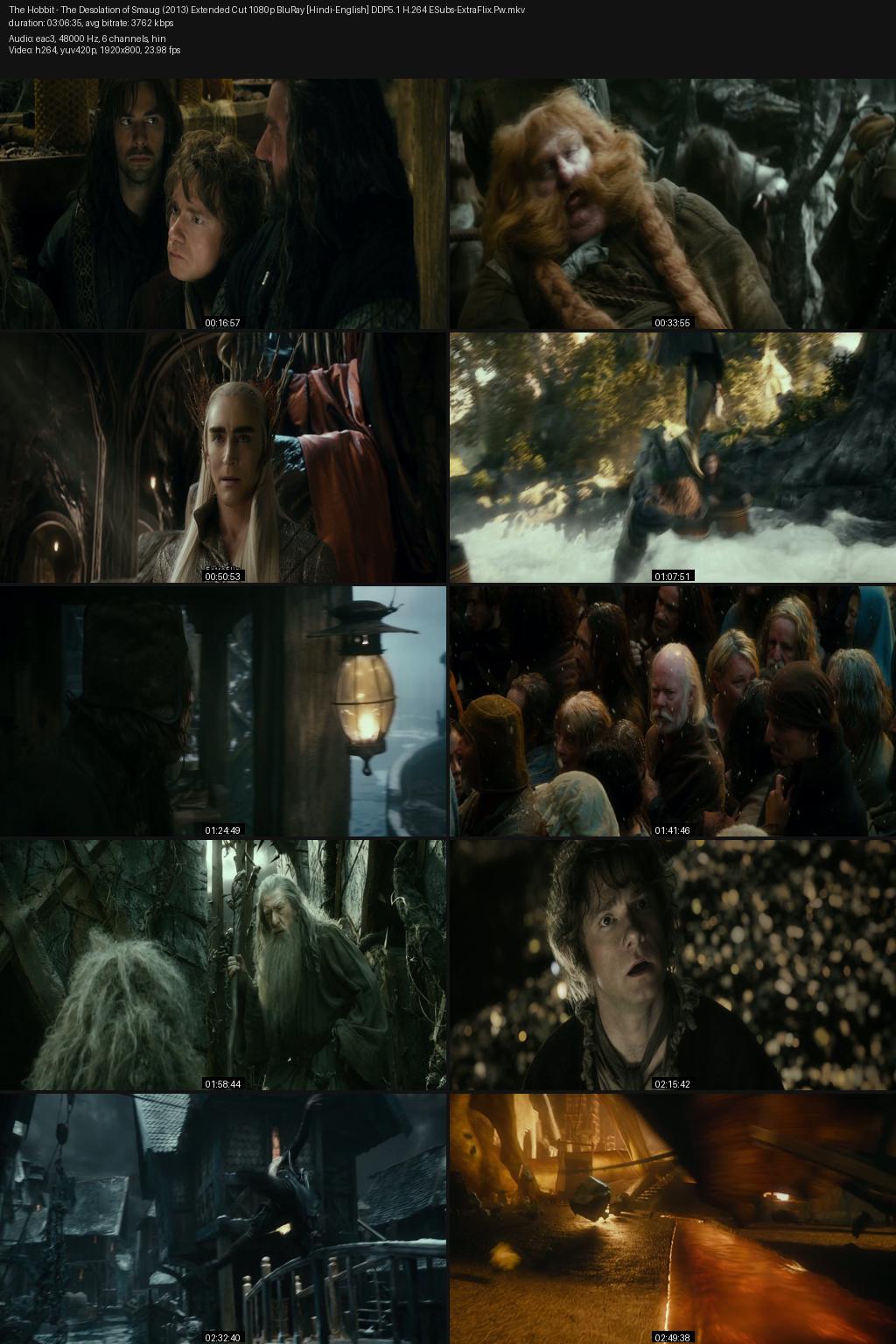 The Hobbit: The Desolation of Smaug (2013) Extended Cut [Hindi-English] 1080p 720p 480p BluRay ESubs Screenshots