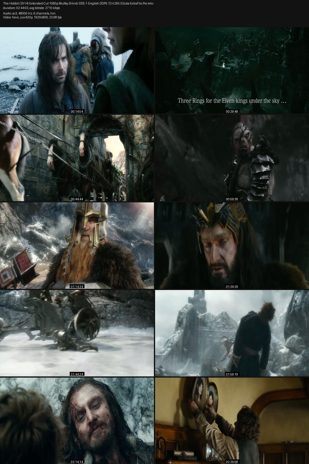The Hobbit: The Battle of the Five Armies (2014) [Hindi-English] 1080p 720p 480p BluRay ESubs Screenshots