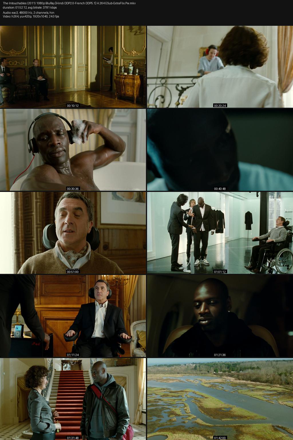The Intouchables (2011) [Hindi-French] 1080p 720p 480p BluRay ESub Screenshots