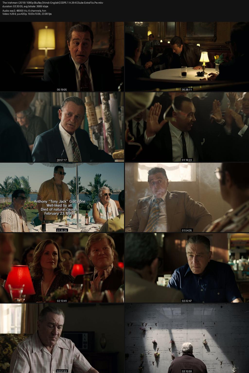 The Irishman (2019) [Hindi-English] 4K 2160p 1080p 720p 480p BluRay ESubs Screenshots