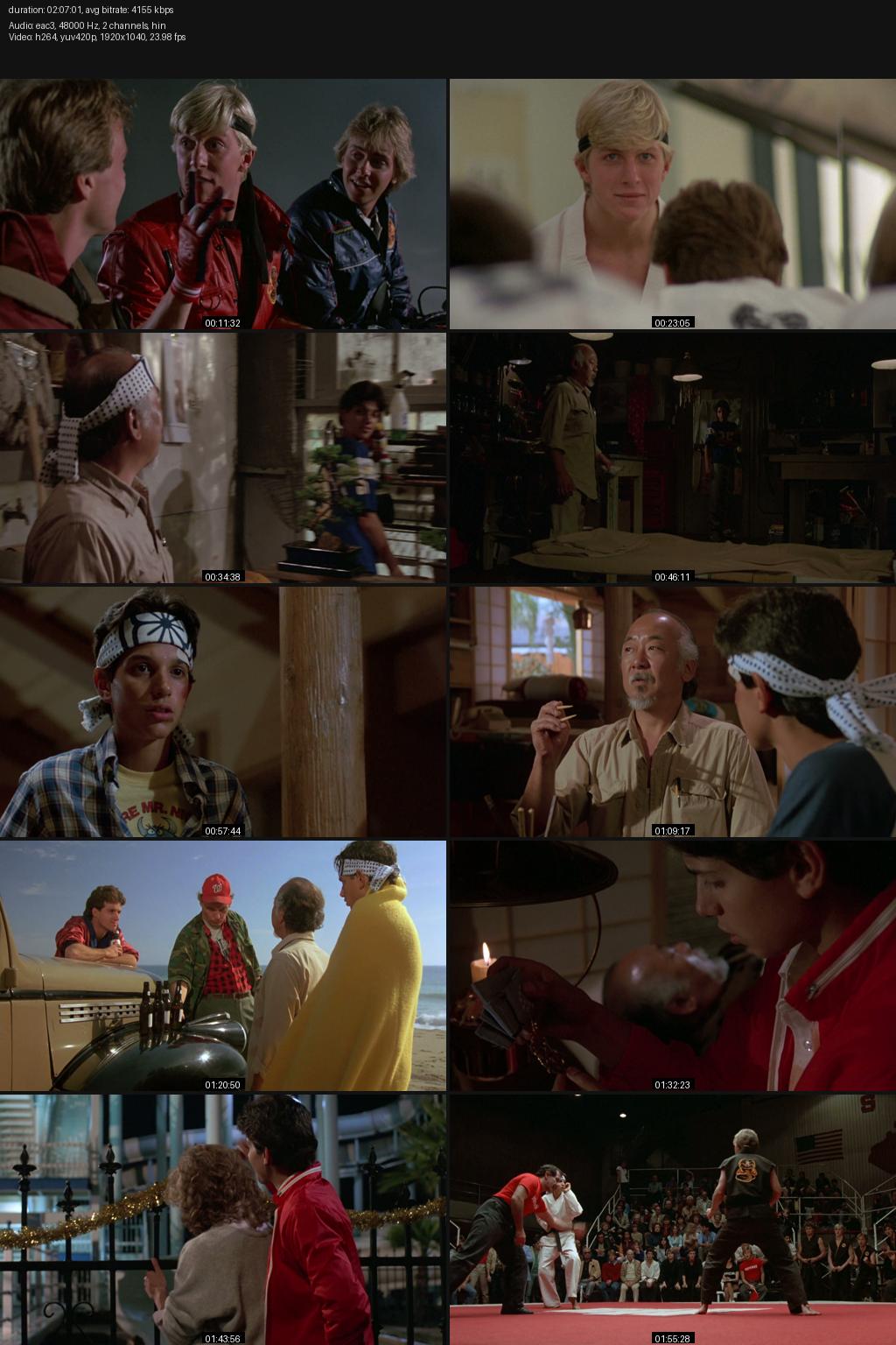 The Karate Kid (1984) [Hindi-English] 1080p 720p 480p BluRay ESubs Screenshots
