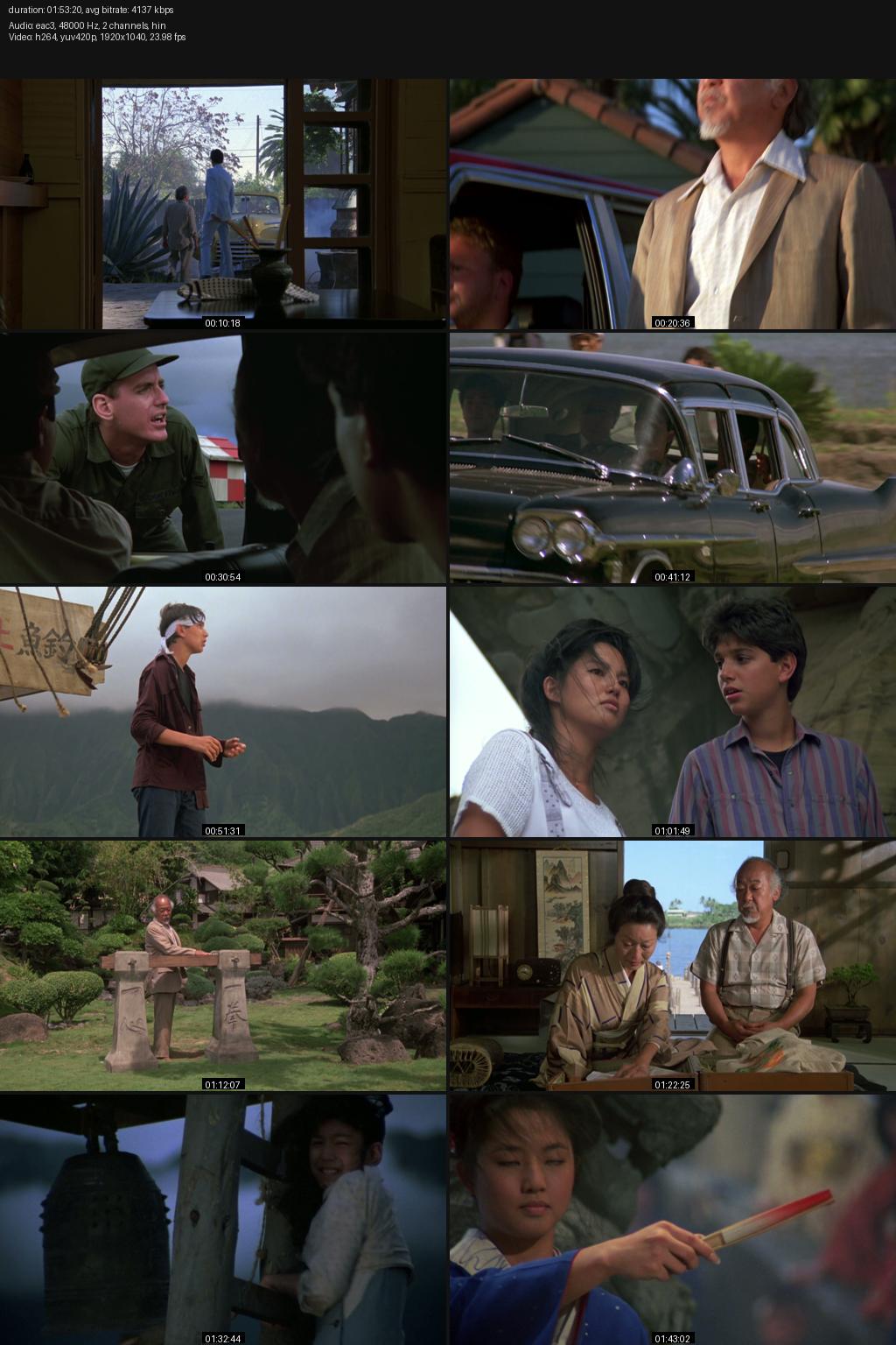 The Karate Kid Part II (1986) [Hindi-English] 1080p 720p 480p BluRay ESubs Screenshots