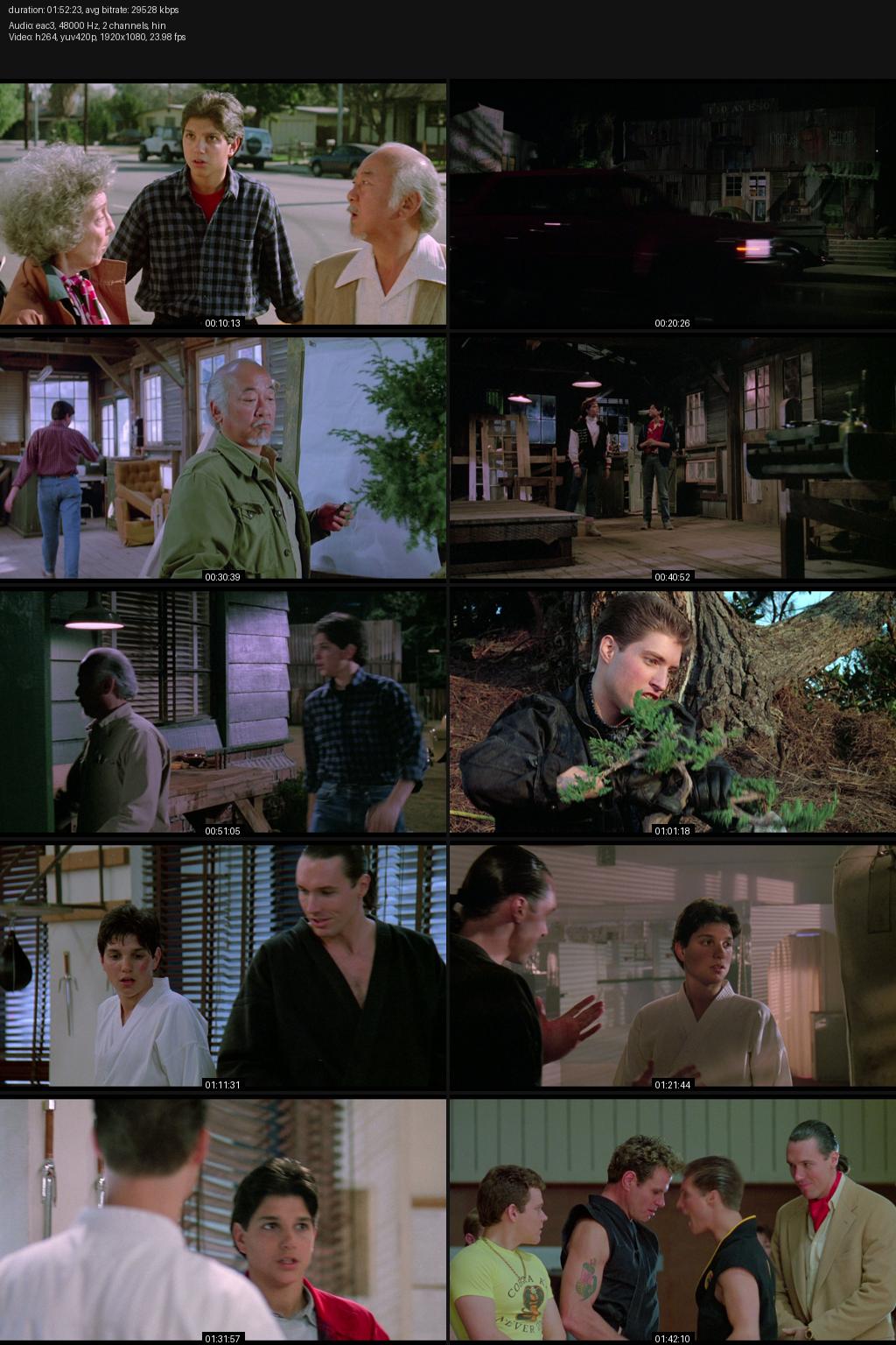 The Karate Kid Part III (1989) [Hindi-English] 1080p 720p 480p BluRay ESubs Screenshots