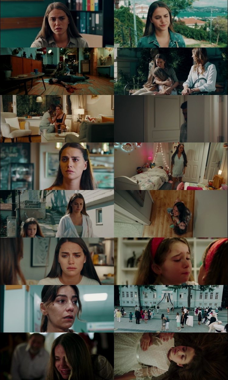 The Last Wish (2025) 1080p | 720p | 480p WEB-HDRip [Hindi (हिन्दी) English] DD5.1 ESubs Screenshots