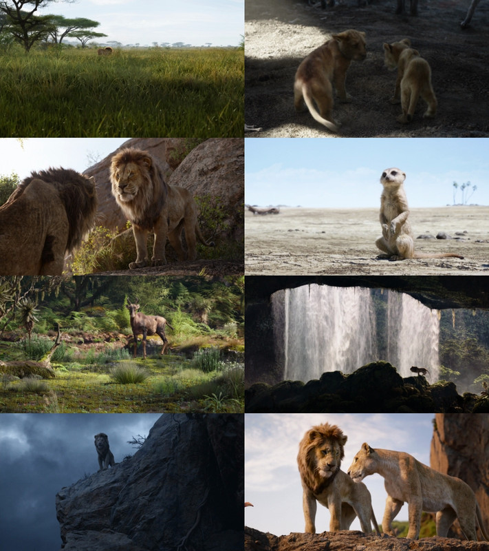 The Lion King (1994) 1080p | 720p | 480p BluRay [Hindi (हिन्दी) + English] DD5.1 ESub Screenshots