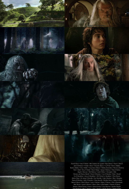 The Lord of the Rings: The Fellowship of the Ring (2001) 1080p | 720p | 480p BluRay [Hindi (हिन्दी) + English] DD5.1 ESub Screenshots
