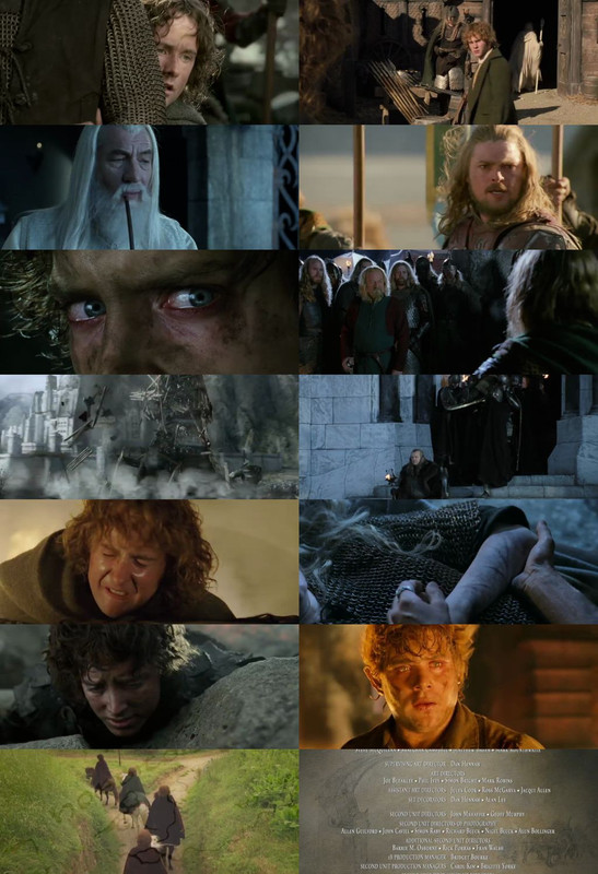 The Lord of the Rings: The Return of the King (2003) 1080p | 720p | 480p BluRay [Hindi (हिन्दी) + English] DD5.1 ESub Screenshots