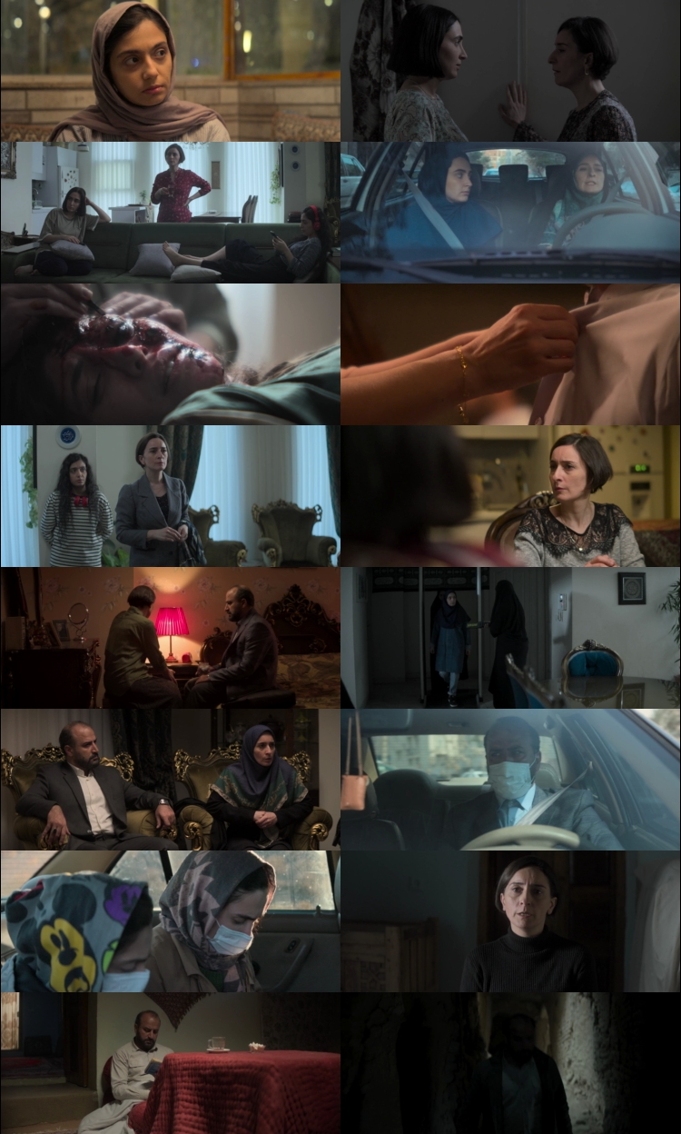 The Seed of the Sacred Fig (2024) 1080p | 720p | 480p BluRay [Hindi (हिन्दी) Persian] DD2.0 ESubs Screenshots