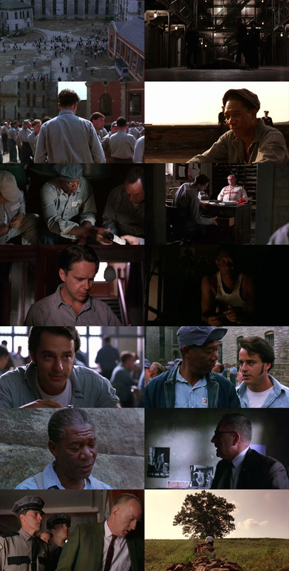 The Shawshank Redemption (1994) 1080p | 720p | 480p BluRay [Hindi (हिन्दी) + English] DD5.1 ESub Screenshots