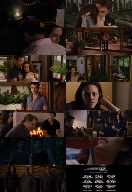 The Twilight Saga: Breaking Dawn – Part 1 (2011) 1080p | 720p | 480p BluRay [Hindi (हिन्दी) + English] DD5.1 ESub Screenshots