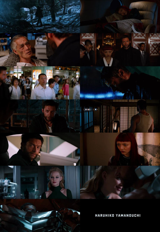 The Wolverine (2013) 1080p | 720p | 480p BluRay [Hindi (हिन्दी) + English] DD5.1 ESub Screenshots