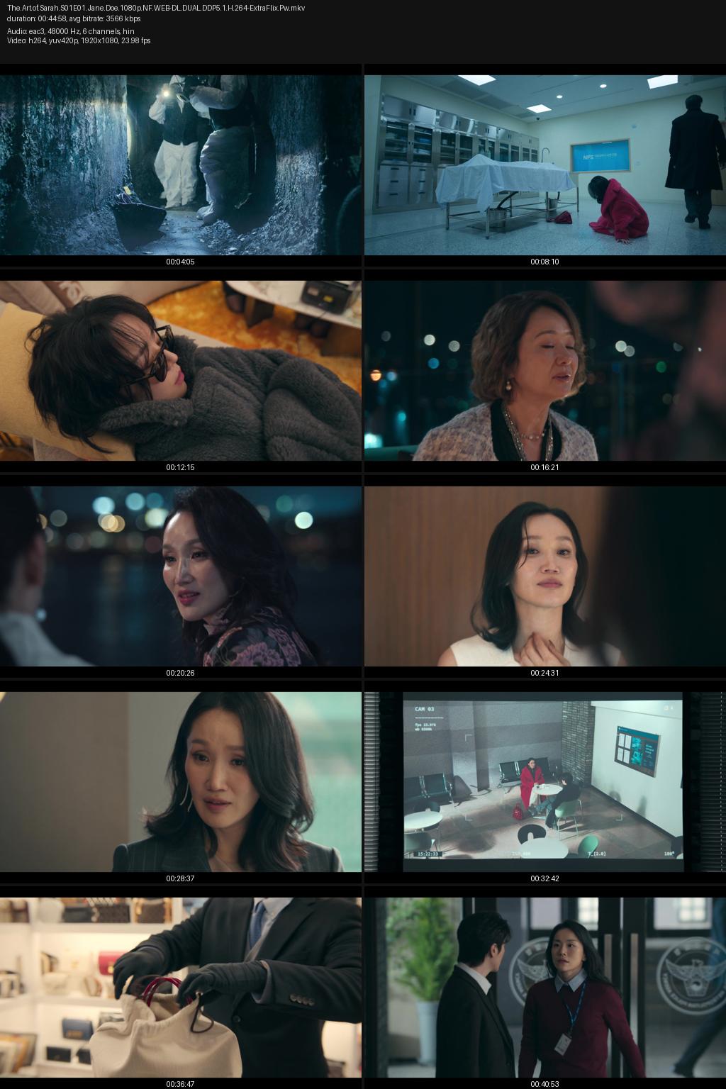 The Art of Sarah aka Reidi Dua Season 1 (2026) [Hindi-Korean] 1080p 720p 480p Netflix WEB-DL ESubs Screenshots