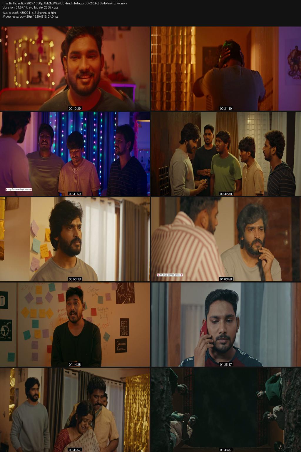 The Birthday Boy (2024) [Hindi-Telugu] UNCUT 1080p 720p 480p Amazon WEBRip ESub Screenshots