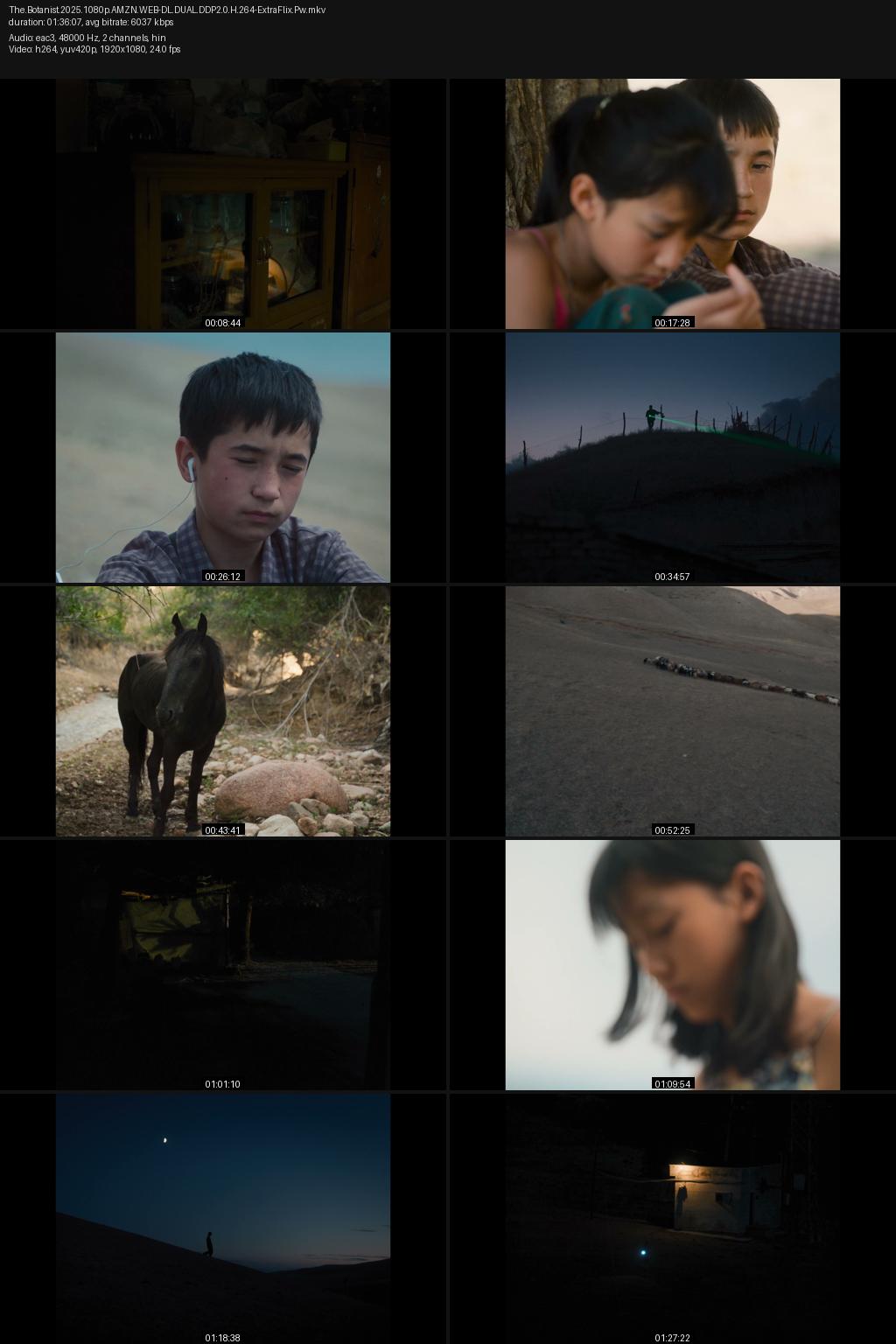 The Botanist (2026) [Hindi-Kazakh] 1080p 720p 480p Amazon WEB-DL ESub Screenshots