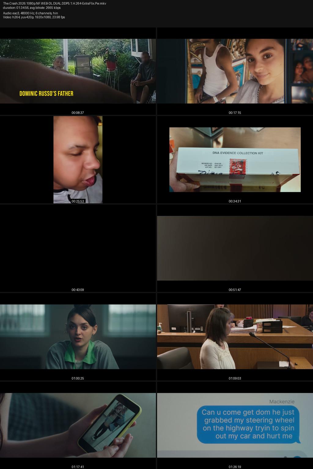 The Crash (2026) [Hindi-English] 1080p 720p 480p Netflix WEB-DL ESubs Screenshots