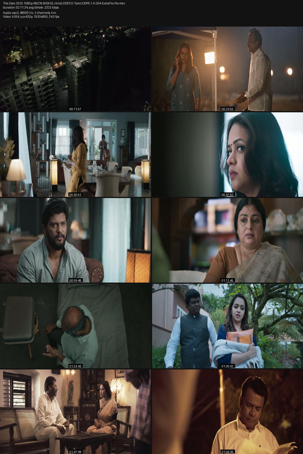 The Door (2025) [Hindi-Tamil] 1080p 720p 480p Amazon WEB-DL ESub Screenshots