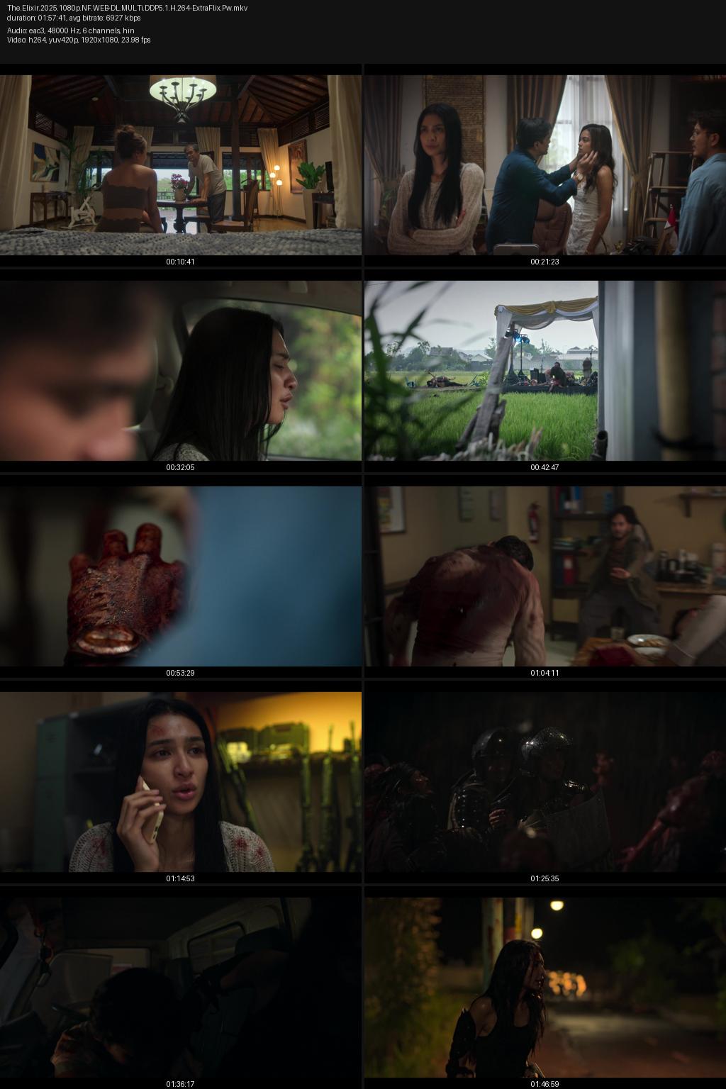 The Elixir (2025) [Hindi-Indonesian] 4K 2160p 1080p 720p 480p Netflix WEB-DL ESubs Screenshots