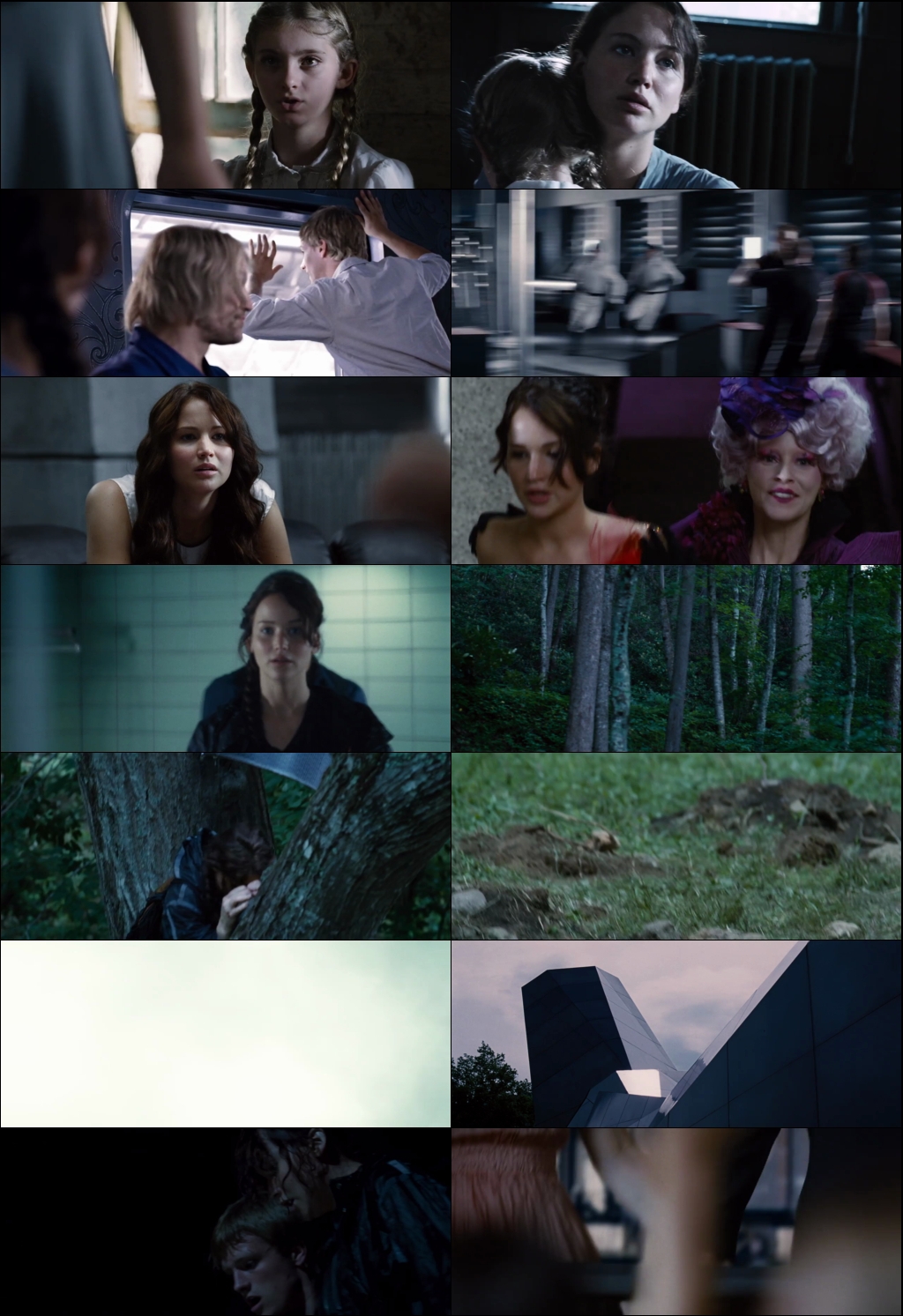 The Hunger Games (2012) 1080p | 720p | 480p BluRay [Hindi (हिन्दी) + English] DD5.1 ESub Screenshots