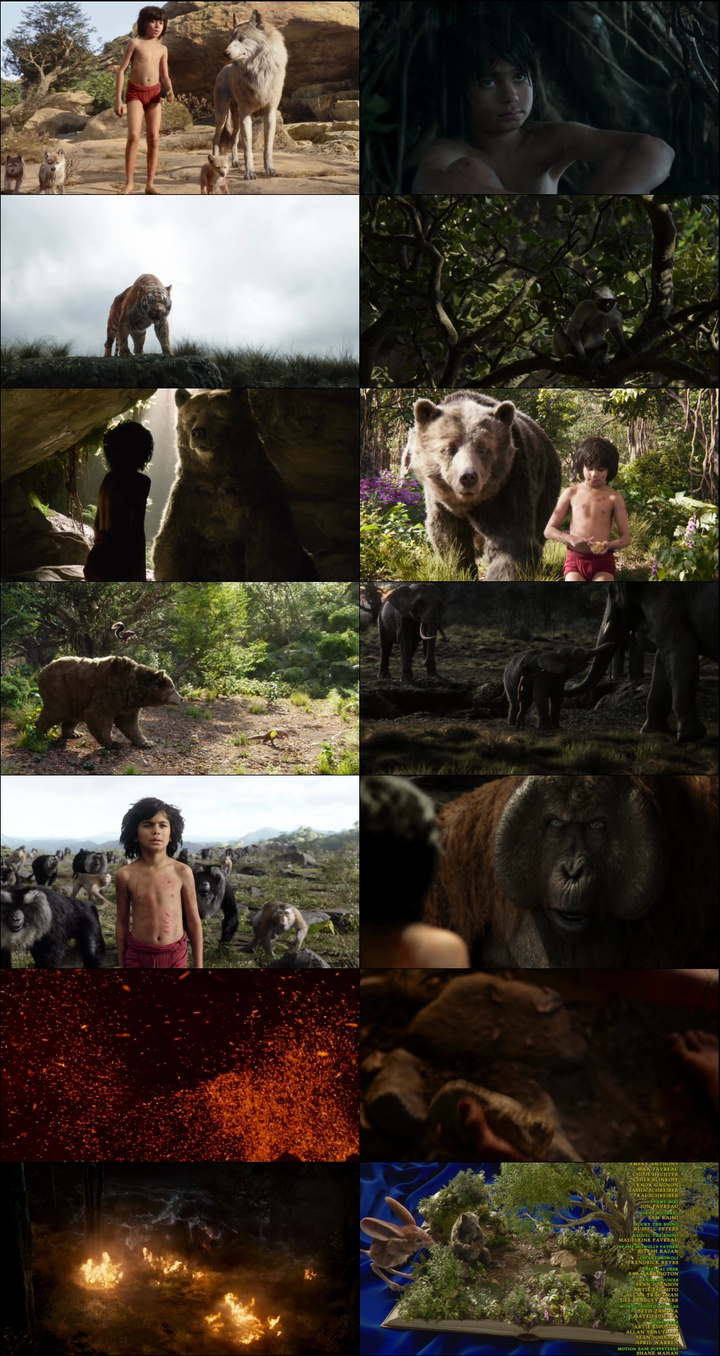 The Jungle Book (2016) 1080p | 720p | 480p BluRay [Hindi (हिन्दी) + English] DD5.1 ESub Screenshots