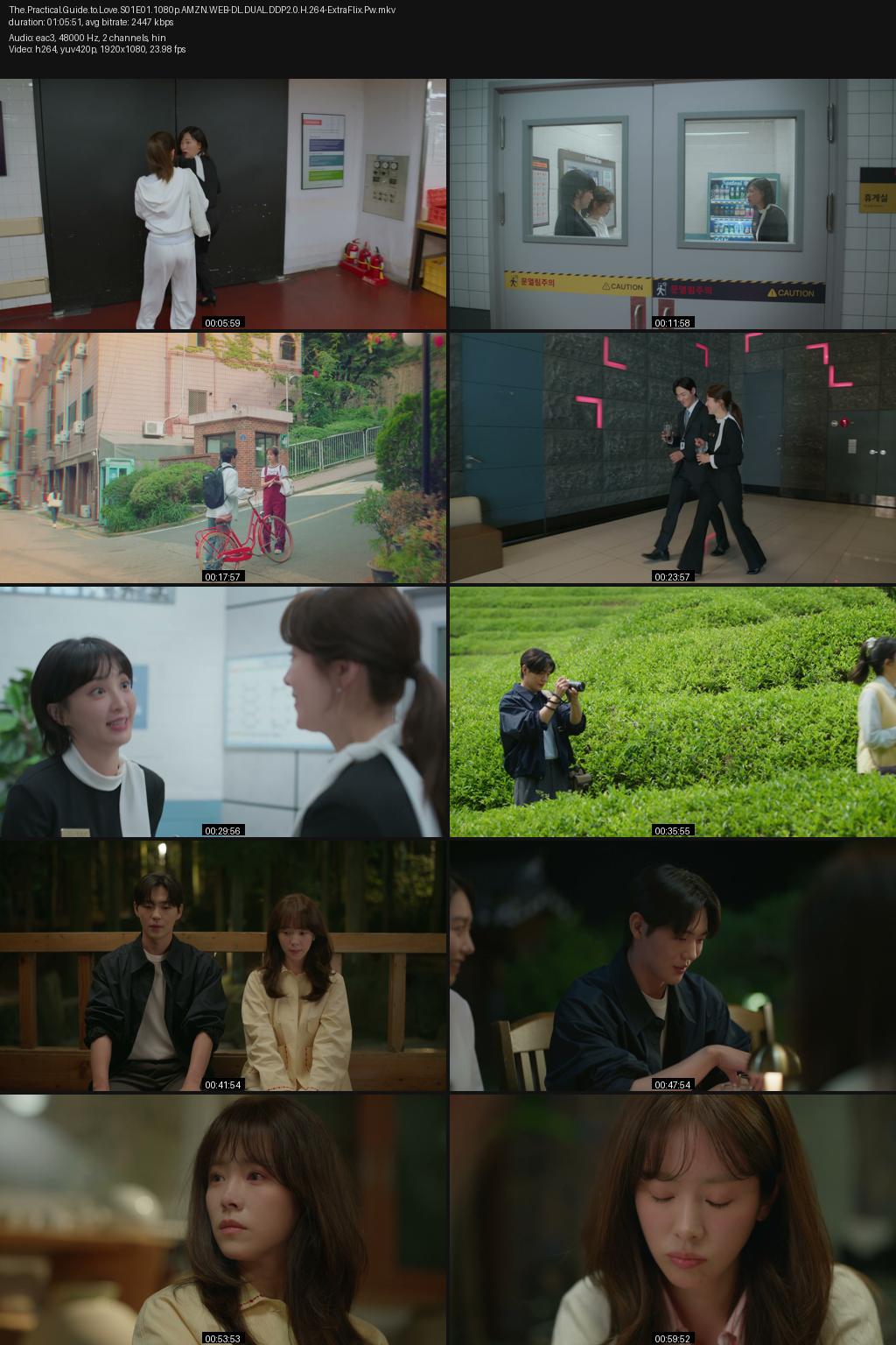 The Practical Guide to Love  Season 1 (2026) [Hindi-Korean] 1080p 720p 480p Amazon WEB-DL ESub Screenshots